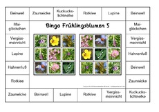 Bingo-Frühlingsblüten-5.pdf
